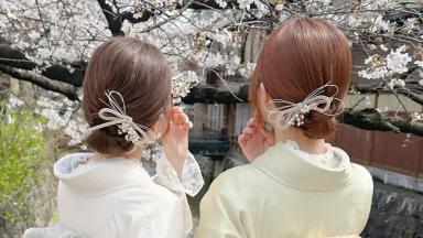 hair ornament set1