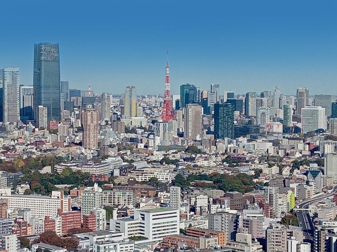 【2024年】5月推薦東京觀光景點介紹！從熱門到隱藏版都有